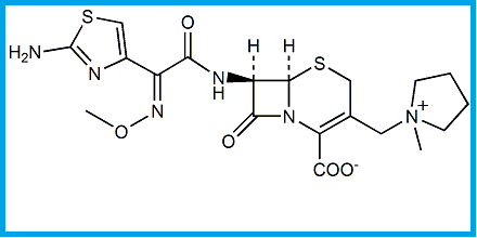 CEFEPIME EP IMPURITY A / CEFEPIME USP RC A